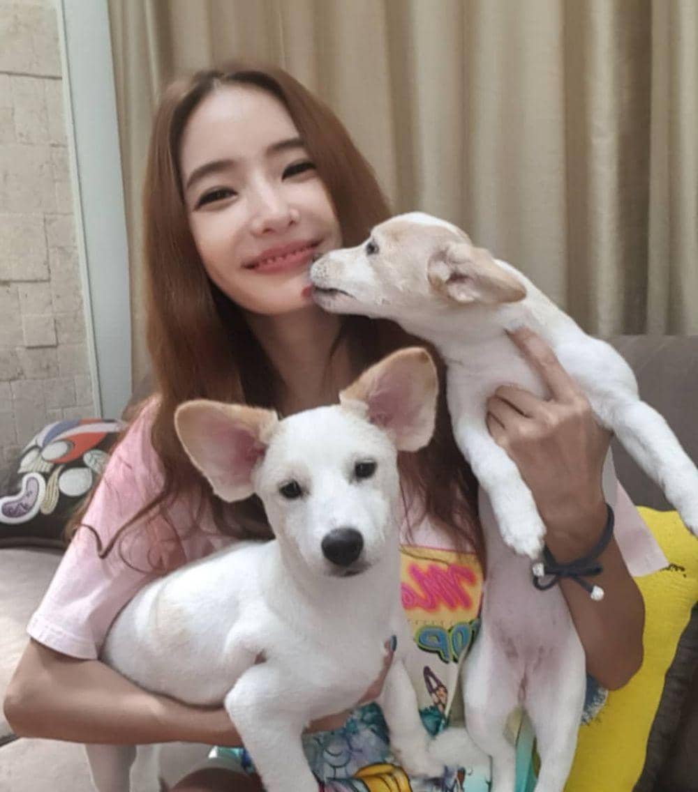 instagram.com/han_chae_young_