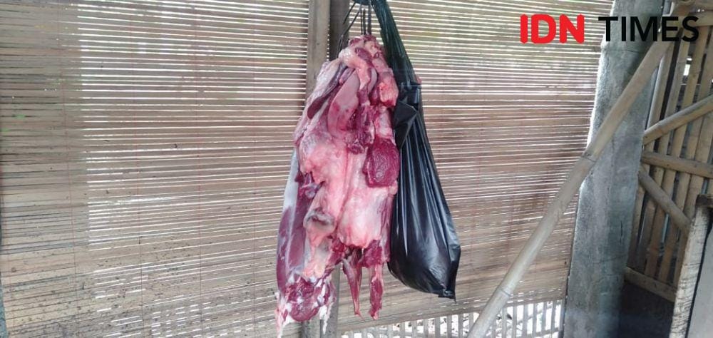 Ilustrasi daging anjing siap jual dari tempat pemotongan anjing di Bantul. IDN Times/Daruwaskita