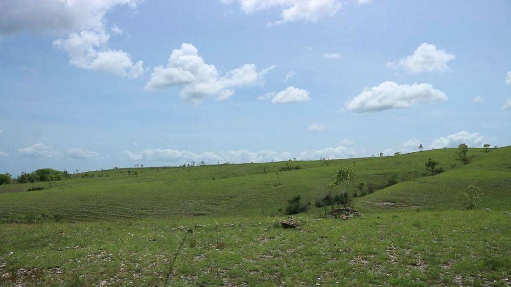 Dok. Pribadi/Fadila Suryandika