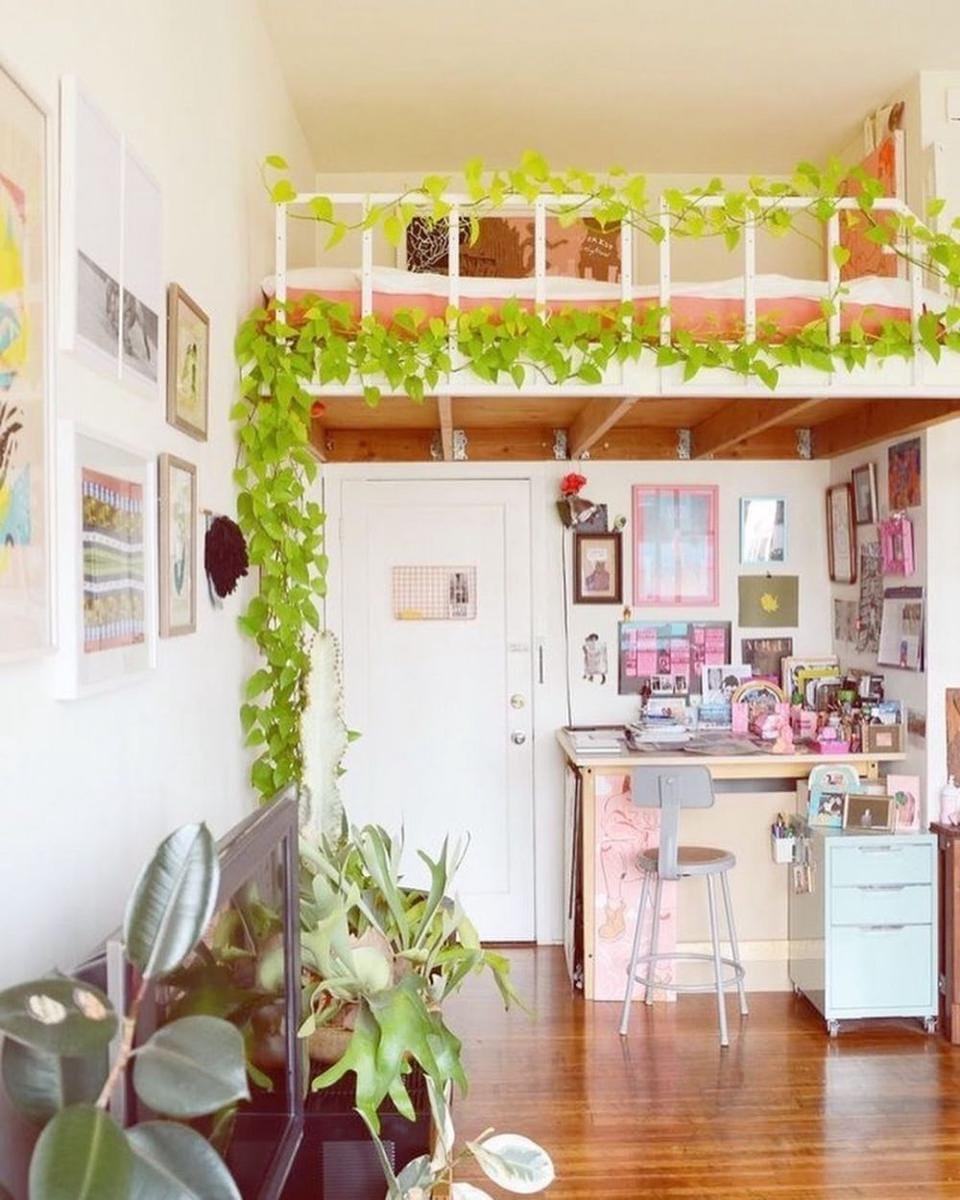 instagram.com/apertoape