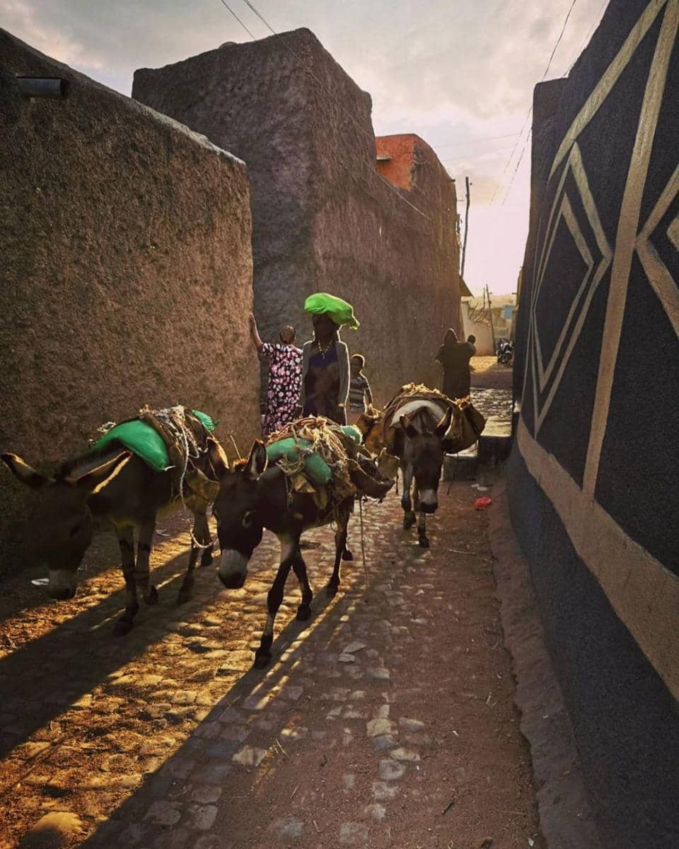 instagram.com/sophievvaughan