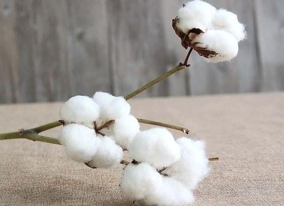 Pinterest/Silvia's home and craft