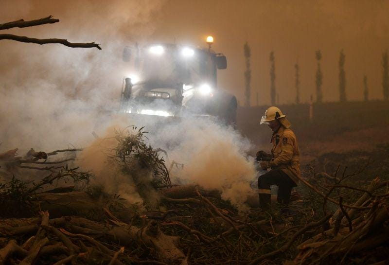 Pohon karet yang terbakar ditebang agar tidak jatuh di atas mobil di Corbago, ketika kebakaran hutan kembali terjadi di New South Wales, Australia, pada 5 Januari 2020. ANTARA FOTO/REUTERS/Tracey Nearmy
