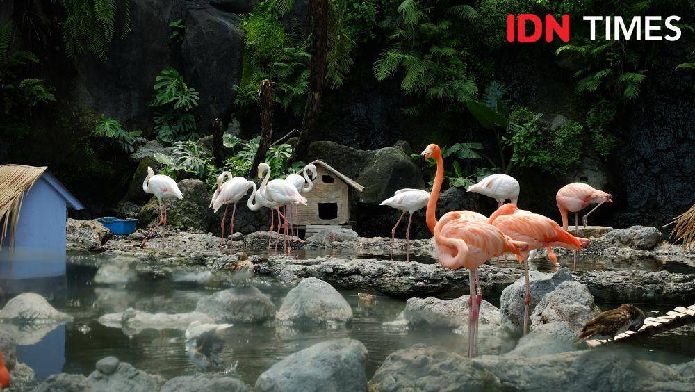 Suasana Jatim Park 2. (IDN Times/Reza Iqbal)