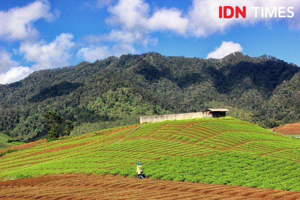 Suasana Desa Sumber Brantas, Batu. (IDN Times/Reza Iqbal)