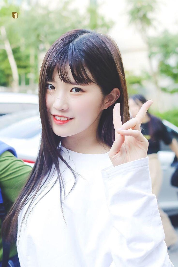 twitter.com/hibread970929