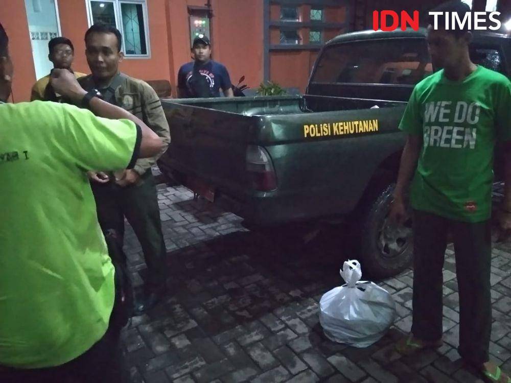Petugas BKSDA saat membawa bangkai macan tutul ke Semarang. Dok Humas BKSDA Jateng