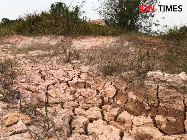 Kekeringan di Sumsel beberapa waktu lalu (IDN Times/Rangga Erfizal)