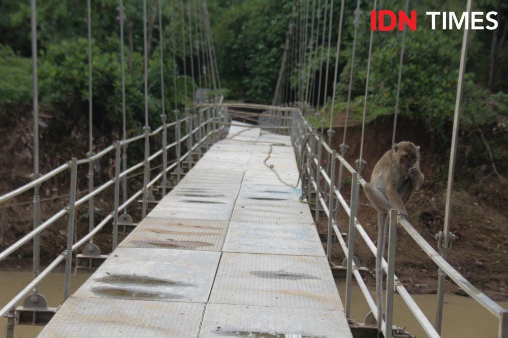 IDN Times/Candra Irawan