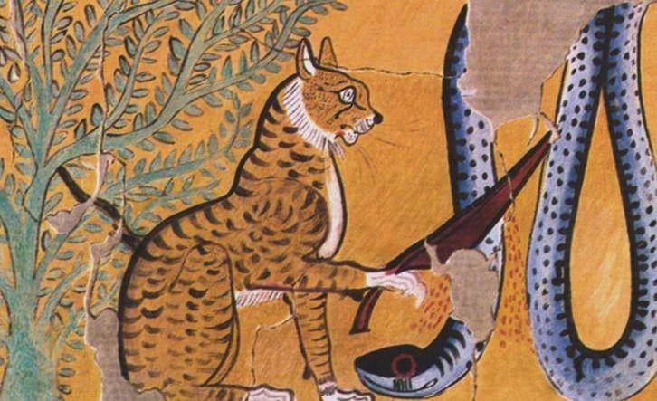 kittentoob.com