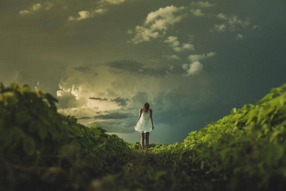 unsplash.com/Matthew Henry
