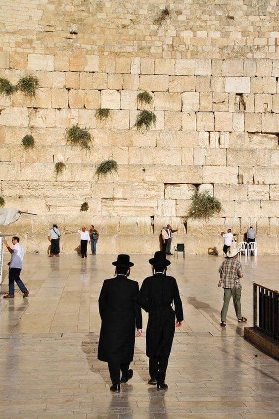 id.pinterest.com/Leedm62