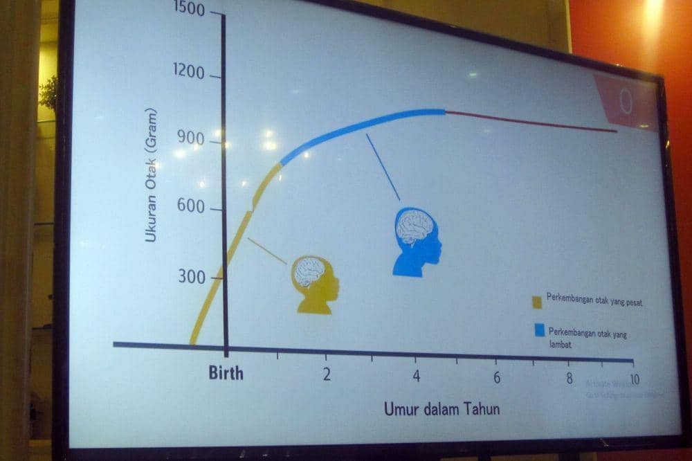 Idntimes.com/Lisa Deslina