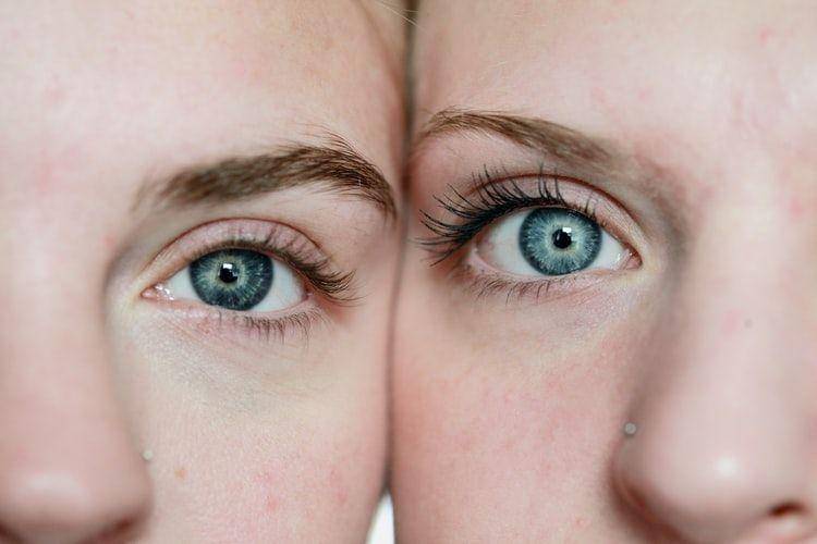 Unsplash/Sharon McCutcheon