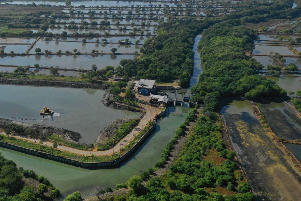 IDN Times/Pemkot Surabaya