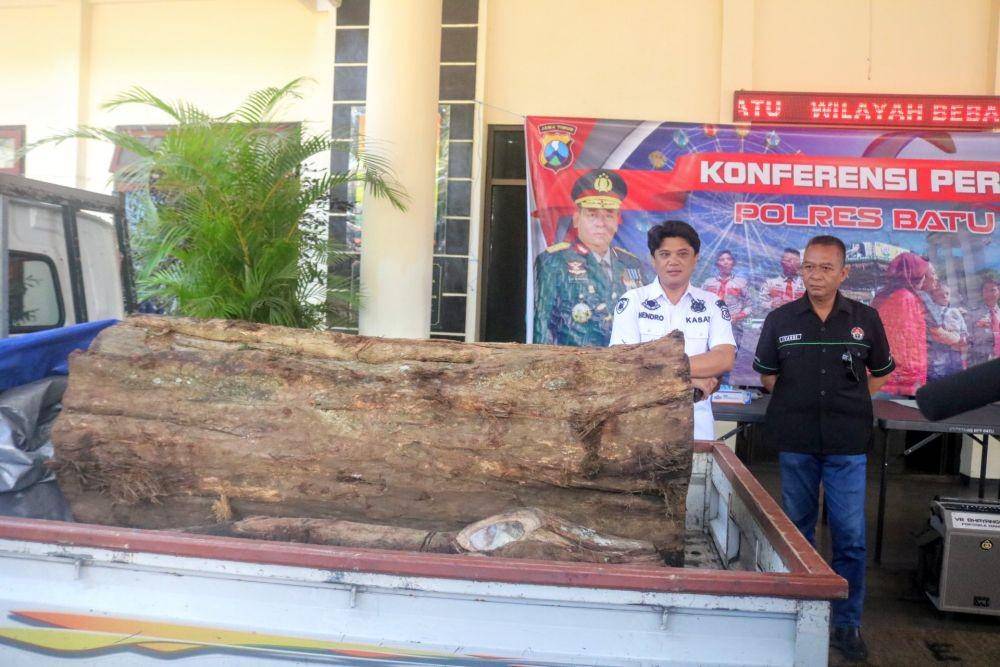 Barang bukti kayo gelondongan yang disita oleh pihak kepolisian. IDN Times/ Alfi Ramadana