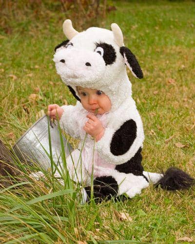 Halloweenphotocontest.com