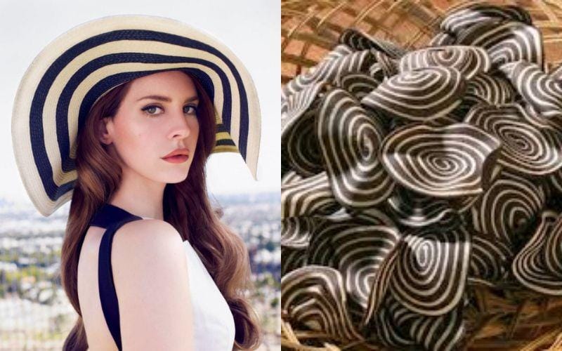 twitter.com/helmihelmi