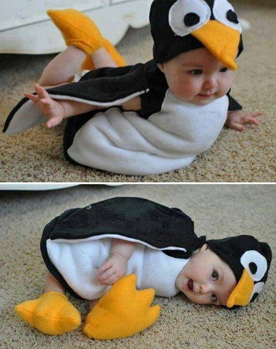 Pinterest.com/Cheryl Certo