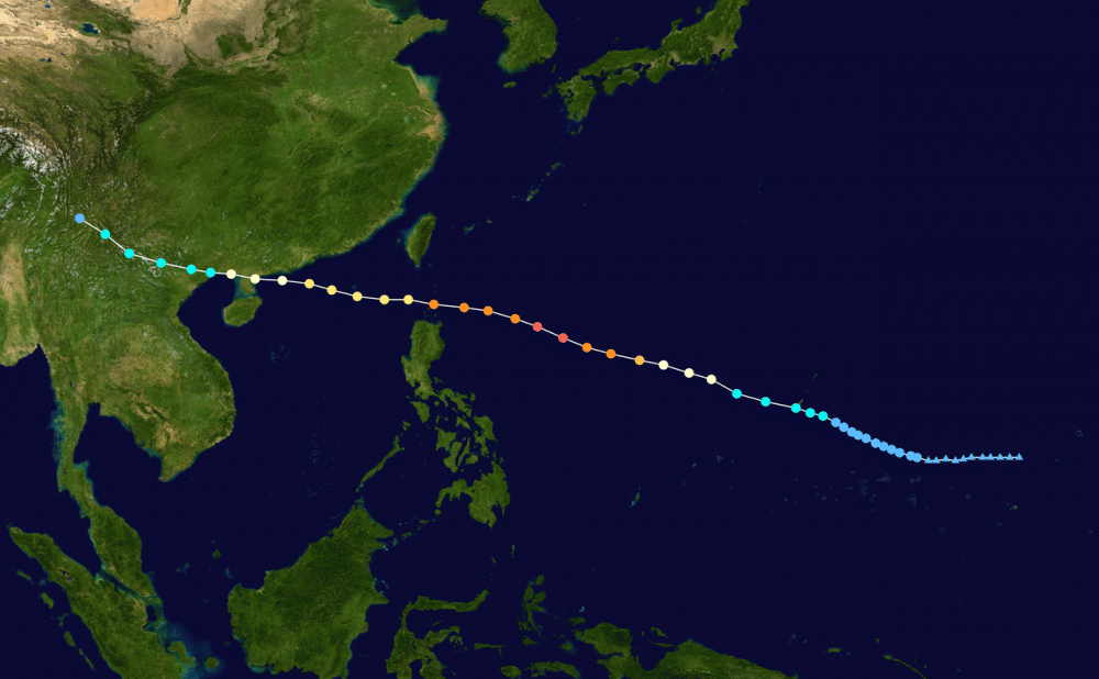 wikipedia.org/Supportstorm