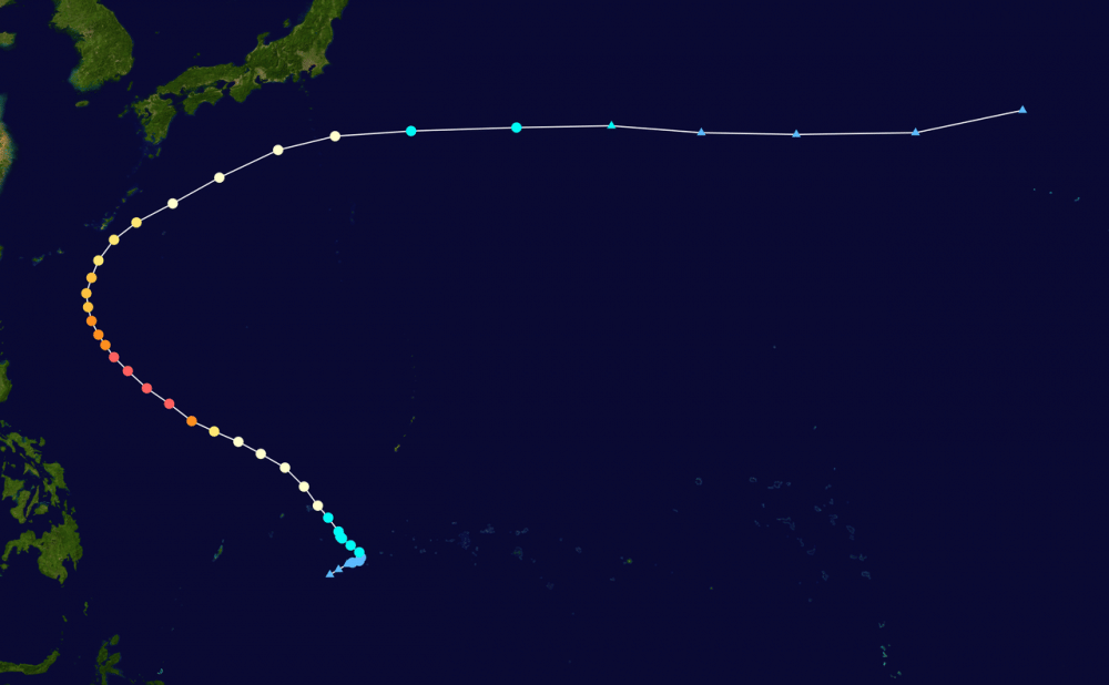 wikipedia.org/Supportstorm