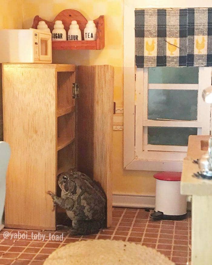 instagram.com/yaboi_toby_toad