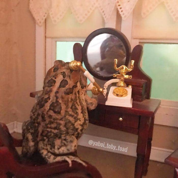 instagram.com/yaboi_toby_toad