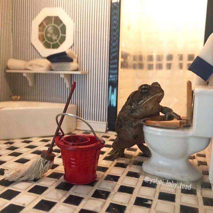 instagram.com/yaboi_toby_toad