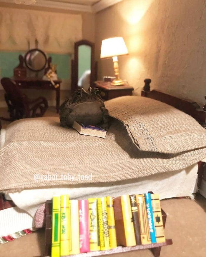 instagram.com/yaboi_toby_toad