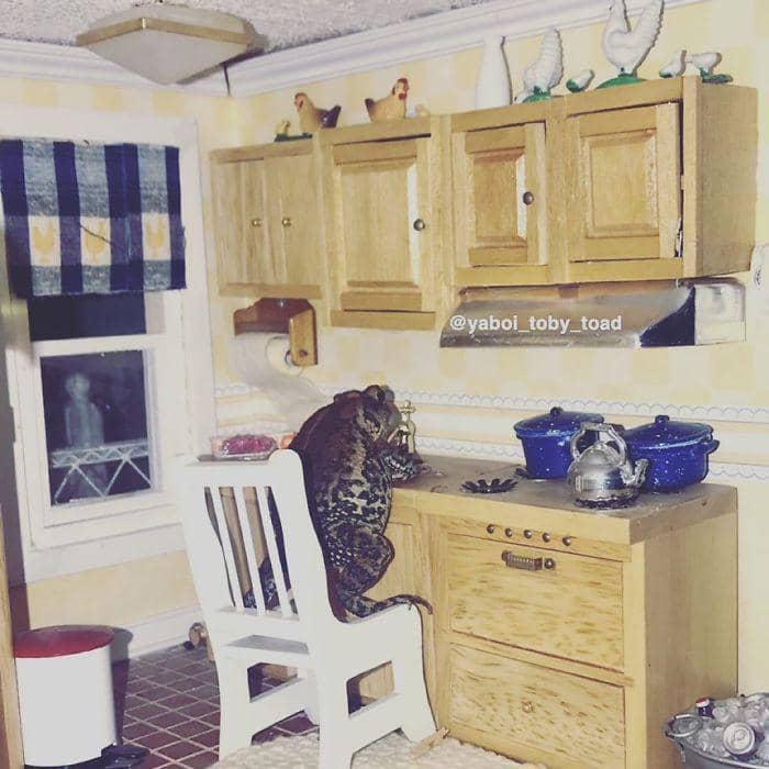 instagram.com/yaboi_toby_toad