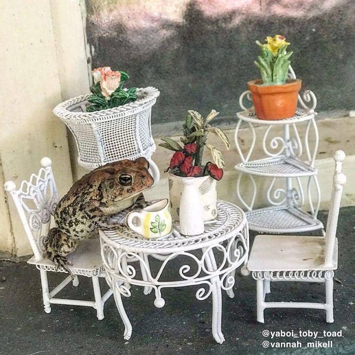 instagram.com/yaboi_toby_toad