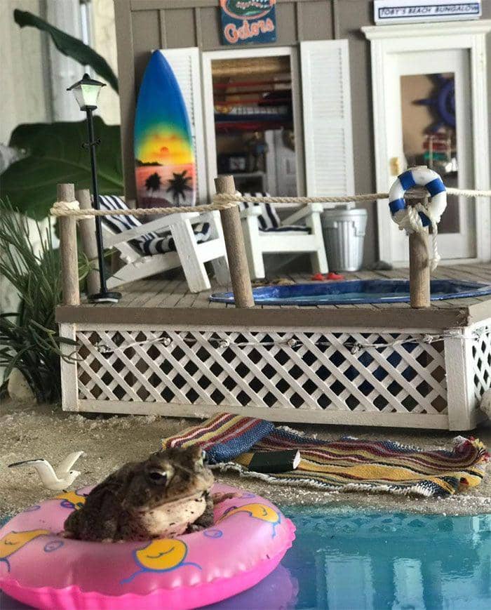 instagram.com/yaboi_toby_toad