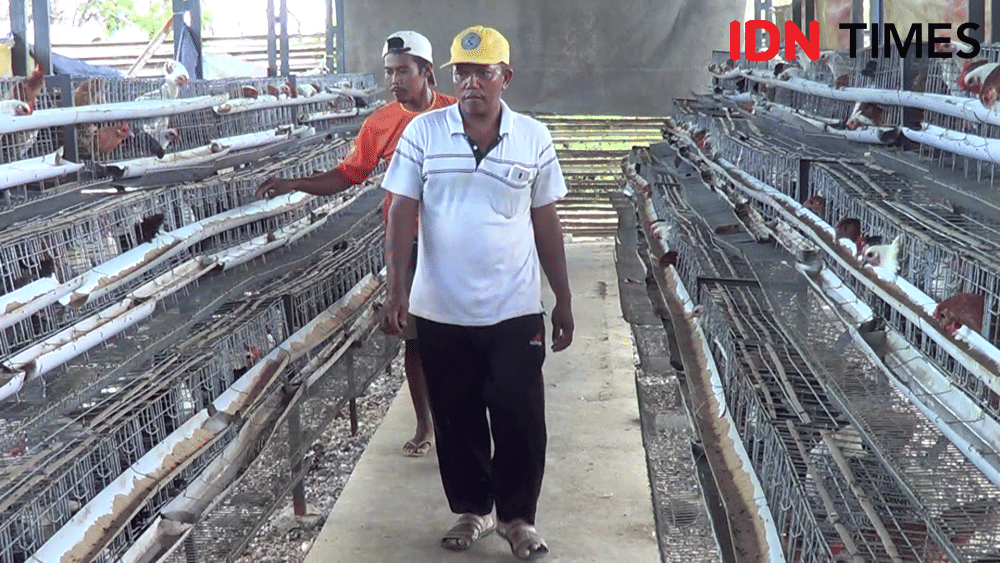 IDN Times/ Muchammad Haikal