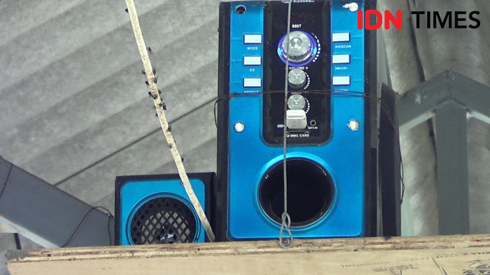 IDN Times/ Muchammad Haikal