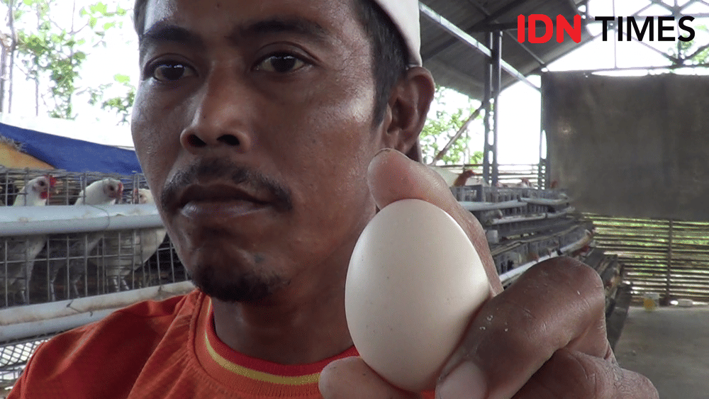 IDN Times/ Muchammad Haikal