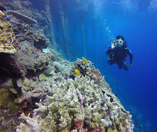 instagram.com/we_divewakatobi/