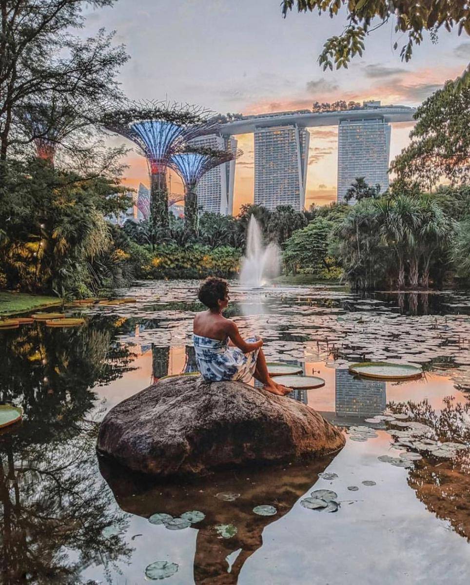 instagram.com/thecutlerychronicles
