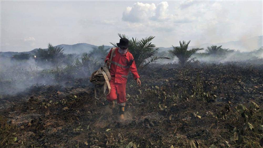 Personel Manggala Aqni membawa selang air untuk melakukan pemadaman Karhutla Gambut di Kecamatan Lalolae, Kabupaten Kolaka Timur, Sulawesi Tenggara, pada 1 Desember 2019. ANTARA FOTO/ManggalaAqn