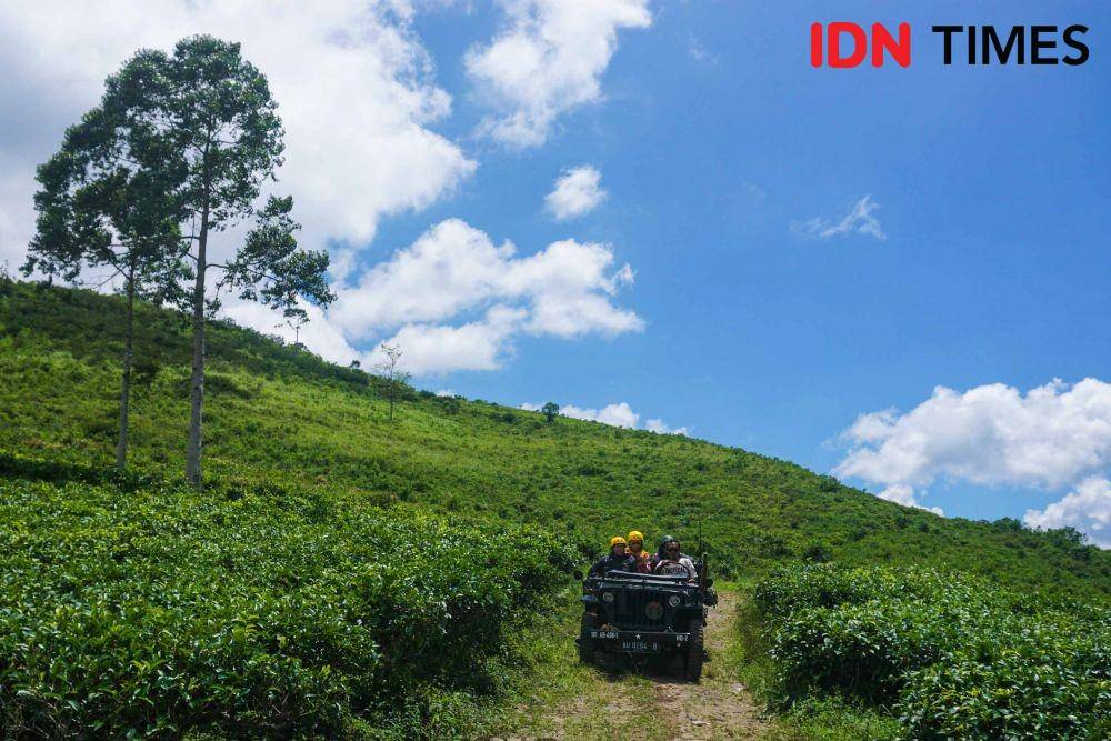 Berwisata alam offroad dengan jip di perkebunan teh lereng Gunung Lawu. IDN Times/Dhana Kencana