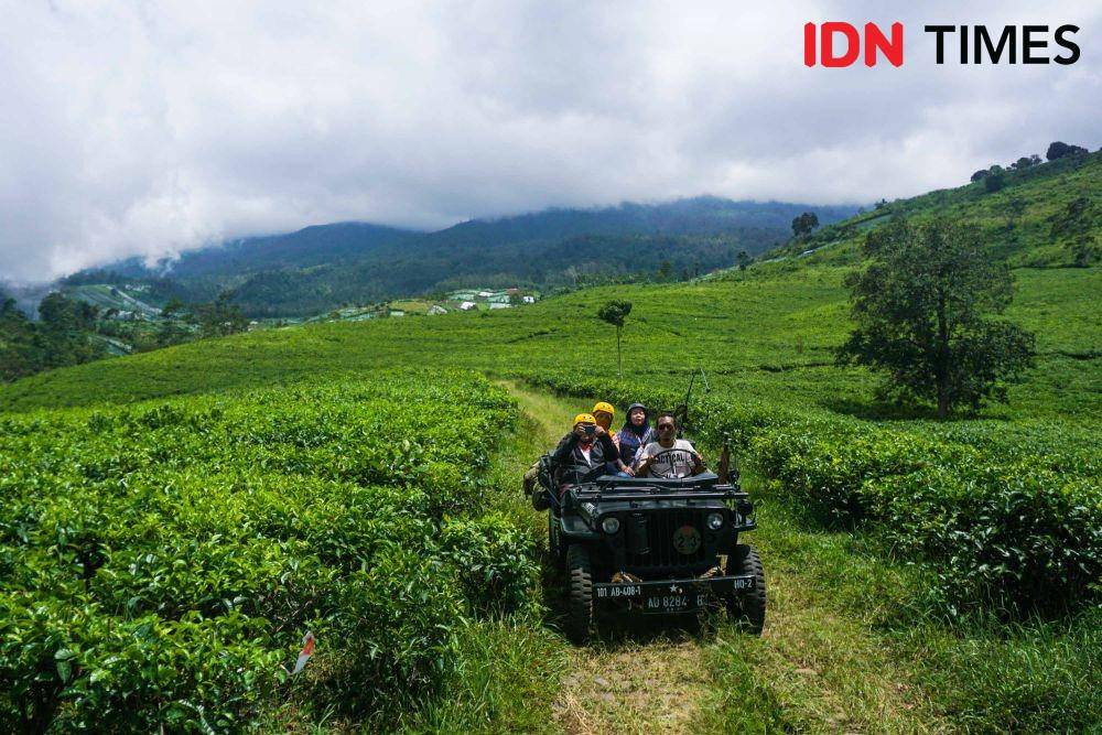 Berwisata alam offroad dengan jip di perkebunan teh lereng Gunung Lawu. IDN Times/Dhana Kencana