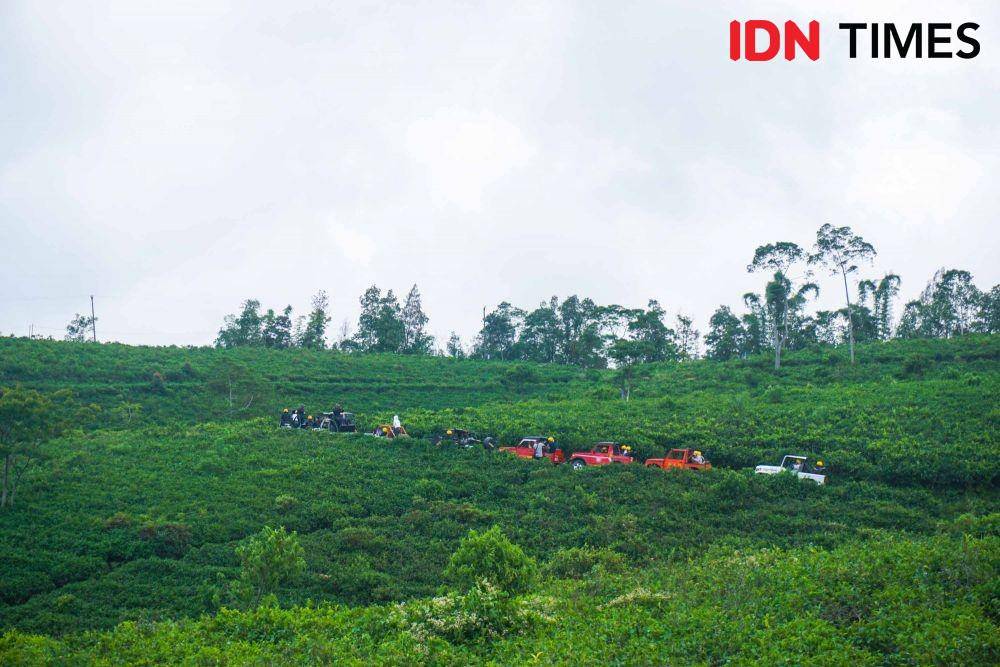 Berwisata alam offroad dengan jip di perkebunan teh lereng Gunung Lawu. IDN Times/Dhana Kencana