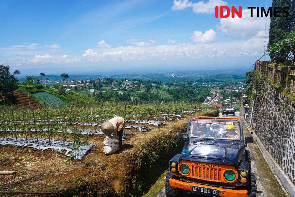 Berwisata alam offroad dengan jip di perkebunan teh lereng Gunung Lawu. IDN Times/Dhana Kencana