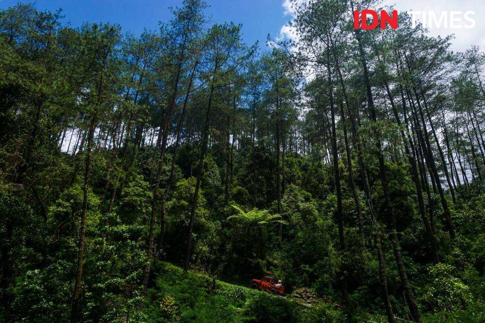Berwisata alam offroad dengan jip di perkebunan teh lereng Gunung Lawu. IDN Times/Dhana Kencana