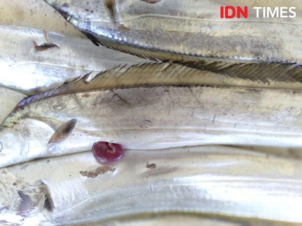 Ikan layur. IDN Times/Daruwaskita
