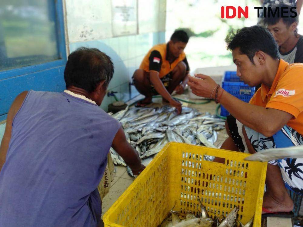 Nelayan Pantai Samas panen ikan layur. IDN Times/Daruwaskita
