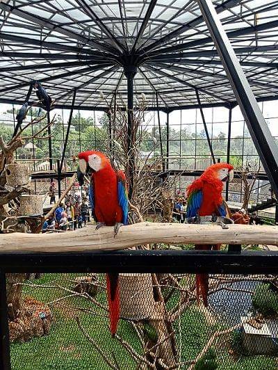 Dok.Pribadi/marthacristantri