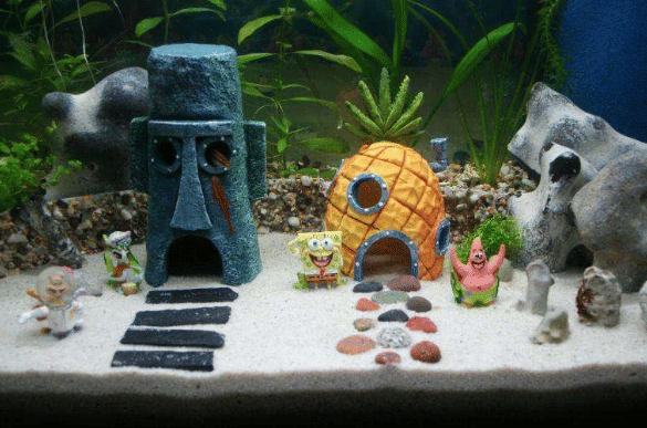 microaquaticshop.com.au