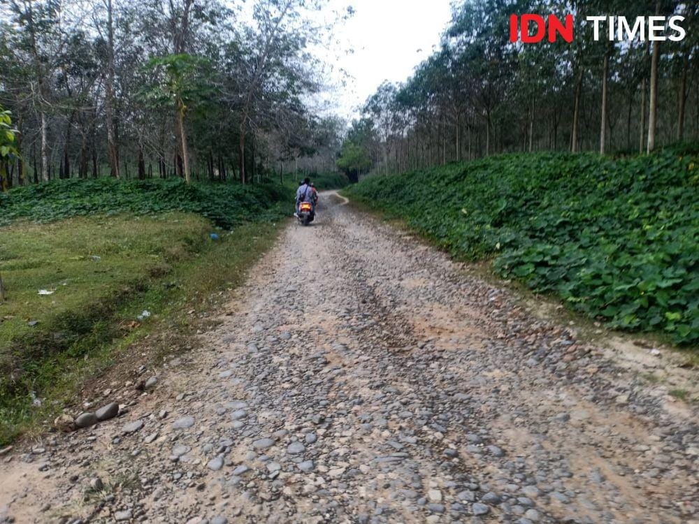 Disarankan menggunakan sepeda motor untuk menuju ke Tangkahan Raja (IDN Times/Gideon Aritonang)