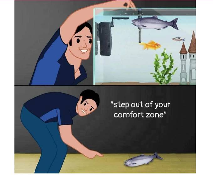 comfort zone