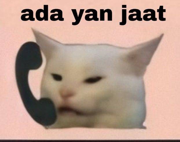 koneksi bapuk